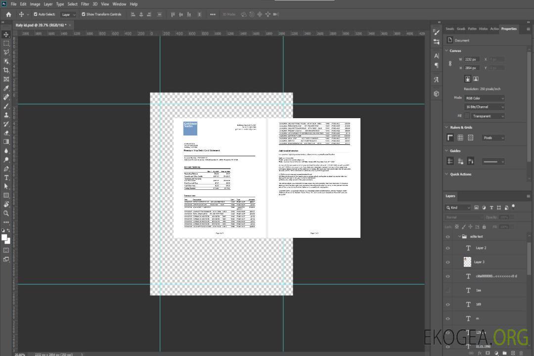 Modèle Word et PDF de relevé de carte de débit Visa Premium de la banque Goldman Sachs des États-Unis template Modèle Word et PDF de relevé de carte de débit Visa Premium de la banque Goldman Sachs des États-Unis template